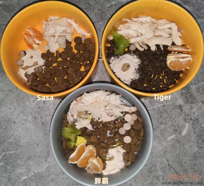 小泰戈犬舍2021年第44周周报