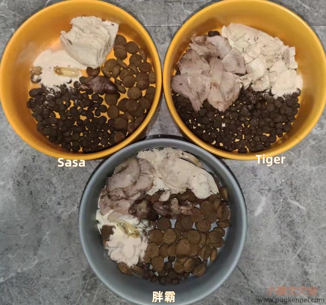 小泰戈犬舍2021年第44周周报