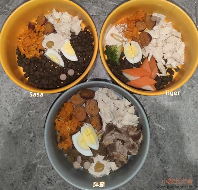 小泰戈犬舍2021年第45周周报