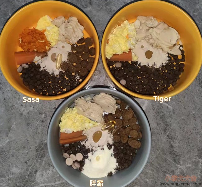 小泰戈犬舍2021年第45周周报