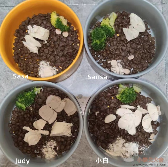 小泰戈犬舍2022年第9周周报